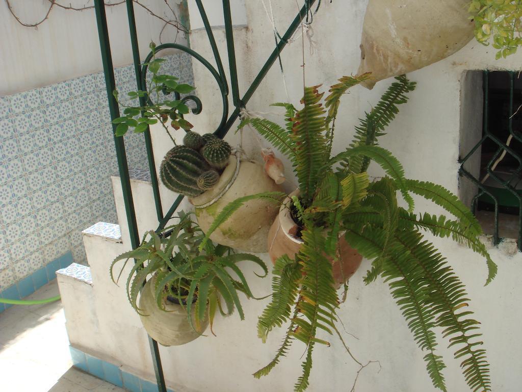 Dar Warda Bed and Breakfast Bizerte Buitenkant foto